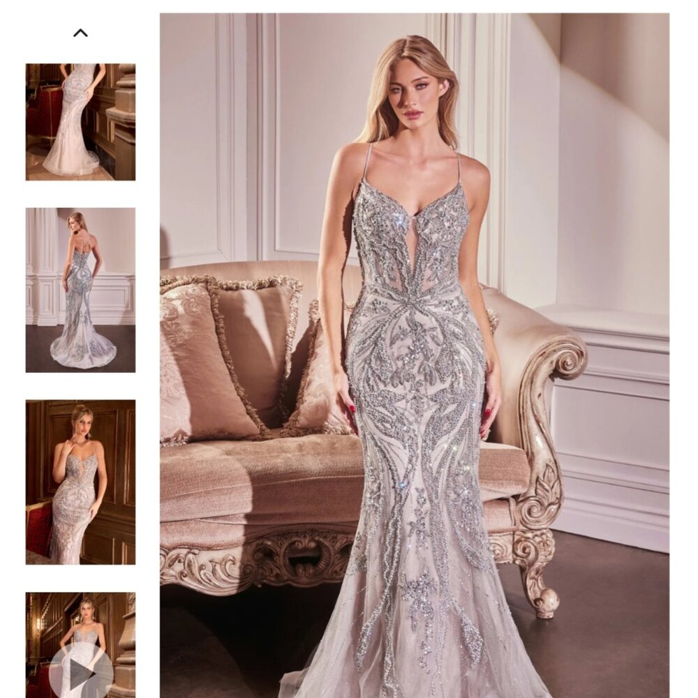 Size 4 silver nude CINDERELLA DIVINE Beaded Fitted Sleeveless Gown dress